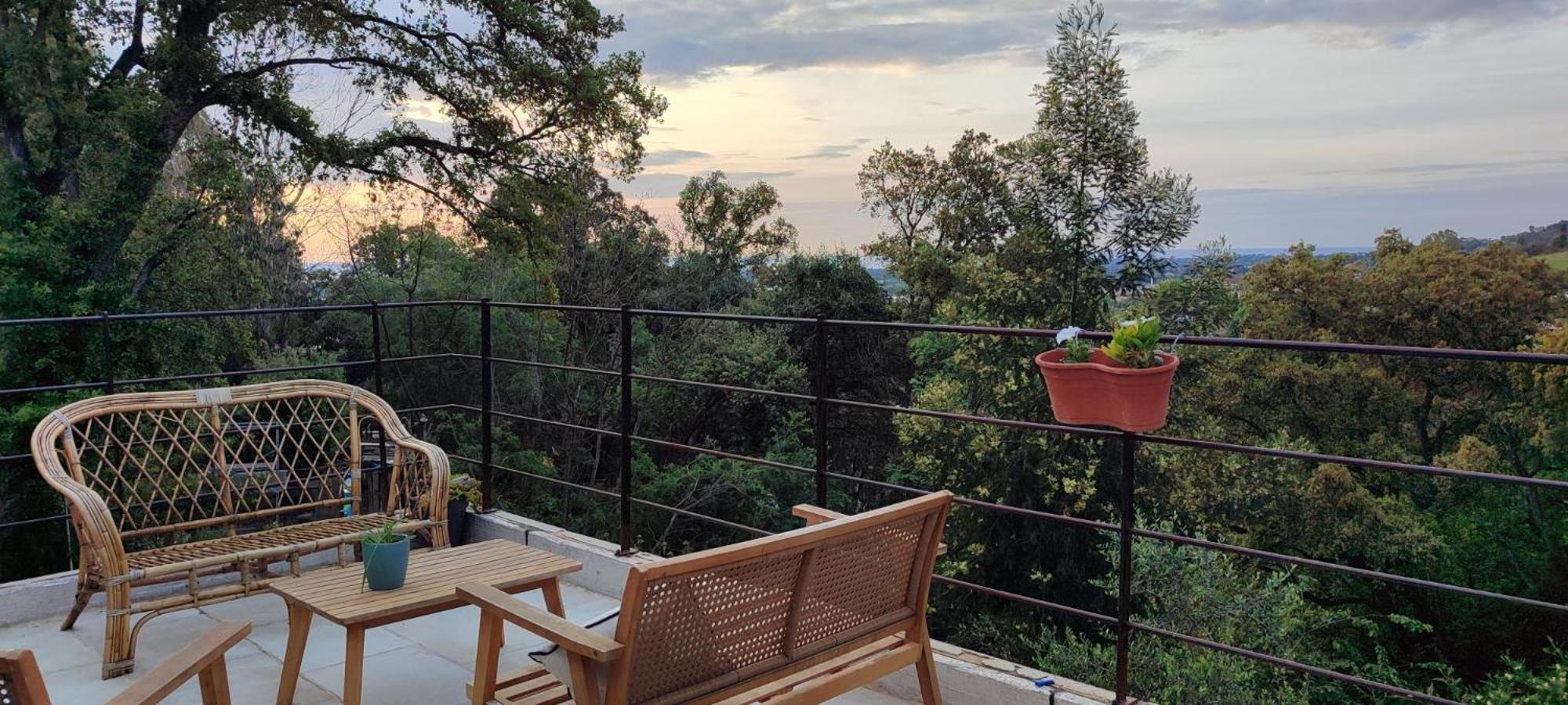 Casa Di Cortanni Daire Castellare-di-Casinca Dış mekan fotoğraf
